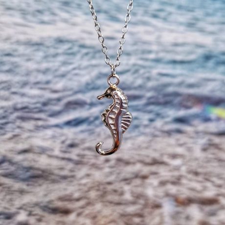 a Gargantilla Caballito de Mar es una preciosa gargantilla fabricada en plata de ley 925 con una cadena y un precioso Caballito de Mar colgando del centro. Esta gargantilla viene presentada en un cartoncito ilustrado con la frase » SOY LO QUE SOY … UNICA Y DIFERENTE » Medidas de la Gargantilla Caballito de Mar Longitud 40 cm Extensión 5 cm. Luce única y diferente con nuestra Gargantilla Caballito de Mar en plata de ley 925. Un precioso colgante que representa tu estilo propio. ¡Hazlo tuyo ahora!🌊